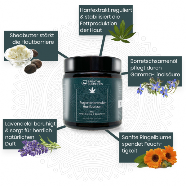 Regenerierende CBD Creme mit Ringelblume - 100ml – Bild 2
