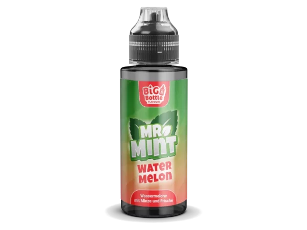 Big Bottle - Mr Mint - Water Melon - 10 ml Longfill